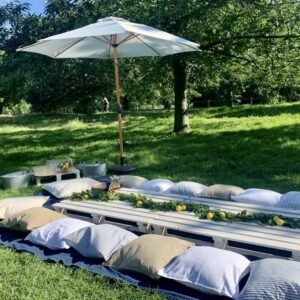 Outdoor Corporate Picnic Setup