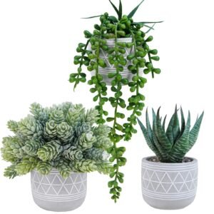 Artificial Succulent Trio