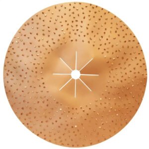 Pearl Abrasive 8 Grit Double-Sided 16" Tungsten Carbide Sanding Disc